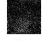 SyntheticGestalt | Drug Discovery Service
